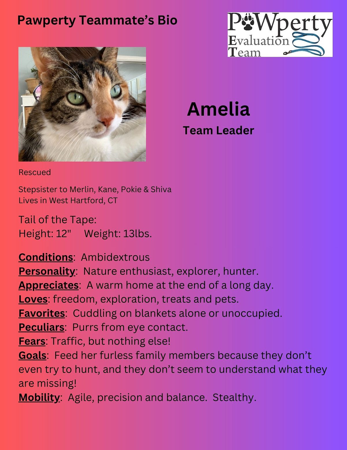 Real Estate For Sale In The Berkshires, Real Estate For Sale Pittsfield MA, Homes For Sale In The Berkshires