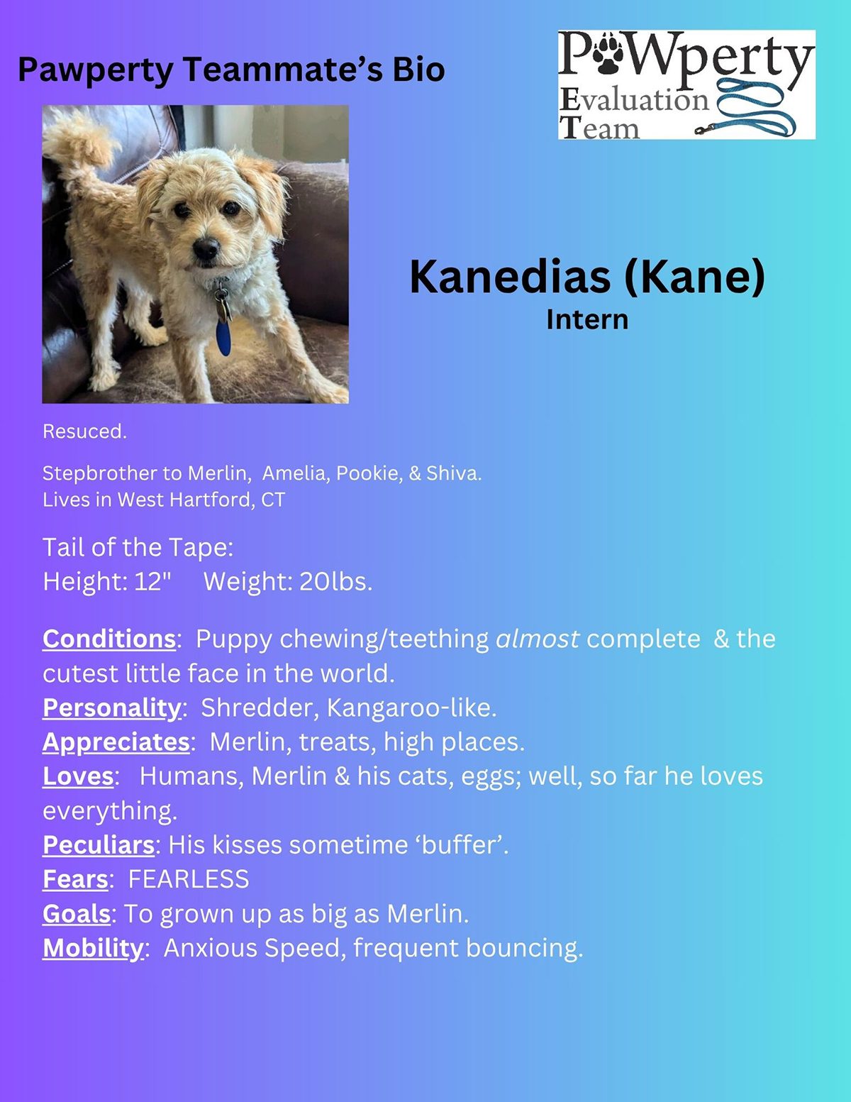PET Team Presentation Real Estate For Sale In The Berkshires, Real Estate For Sale Pittsfield MA, Homes For Sale In The Berkshires