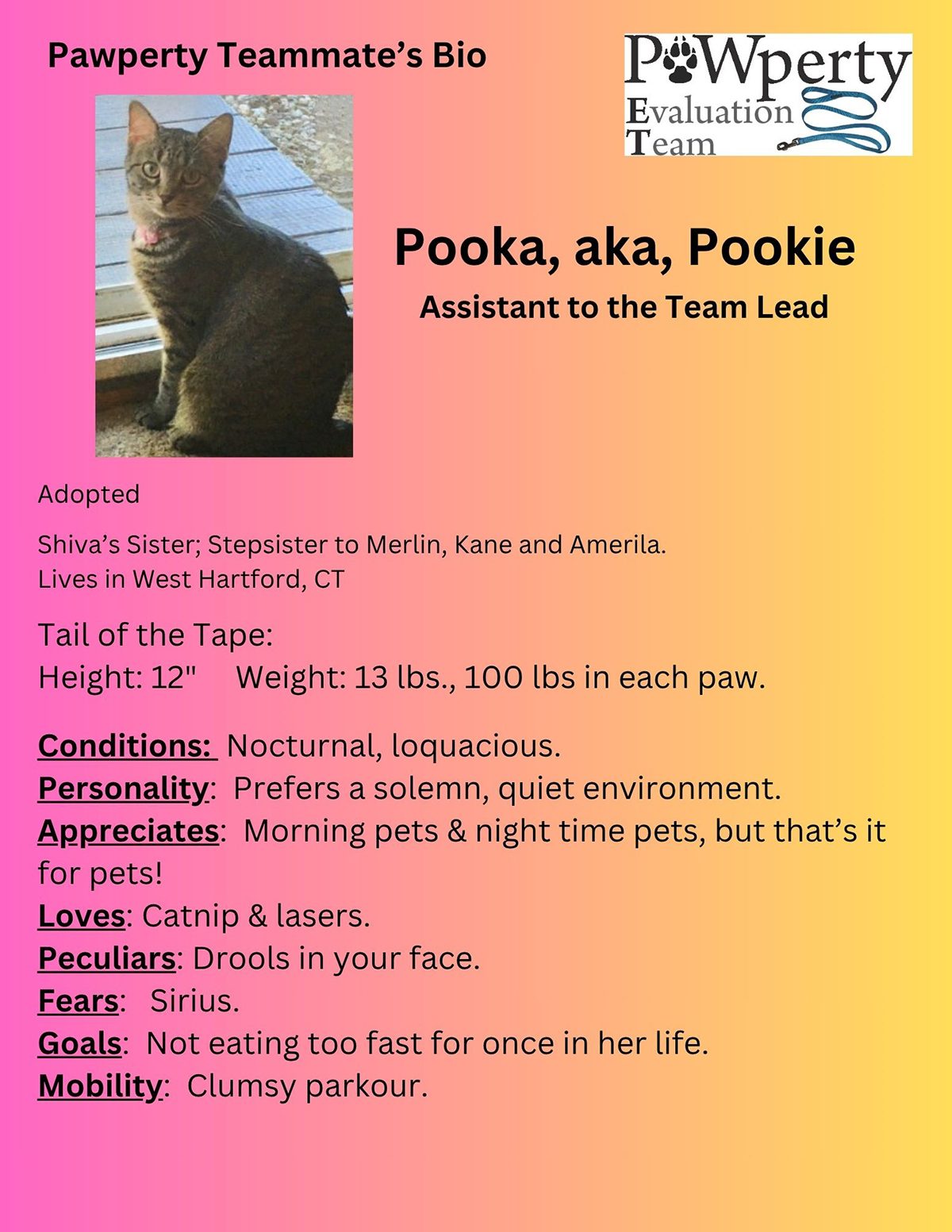 PET Team Presentation Real Estate For Sale In The Berkshires, Real Estate For Sale Pittsfield MA, Homes For Sale In The Berkshires