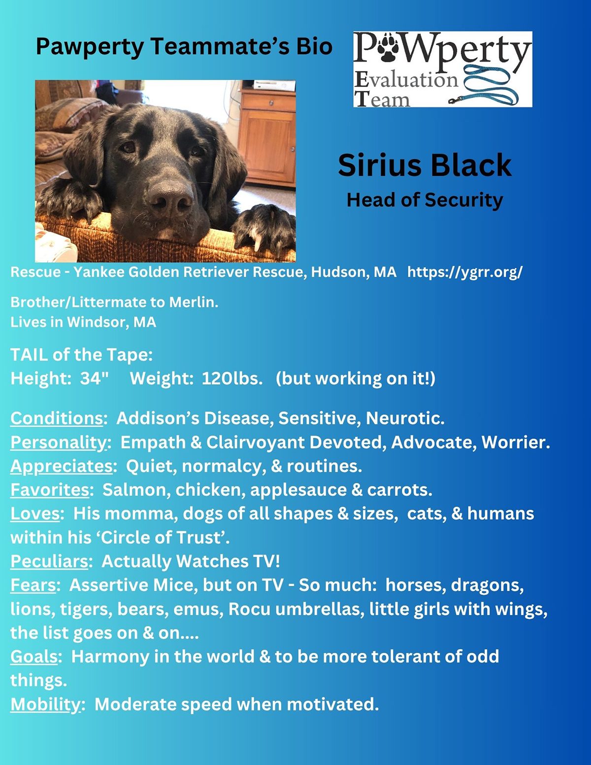PET Team Presentation Real Estate For Sale In The Berkshires, Real Estate For Sale Pittsfield MA, Homes For Sale In The Berkshires